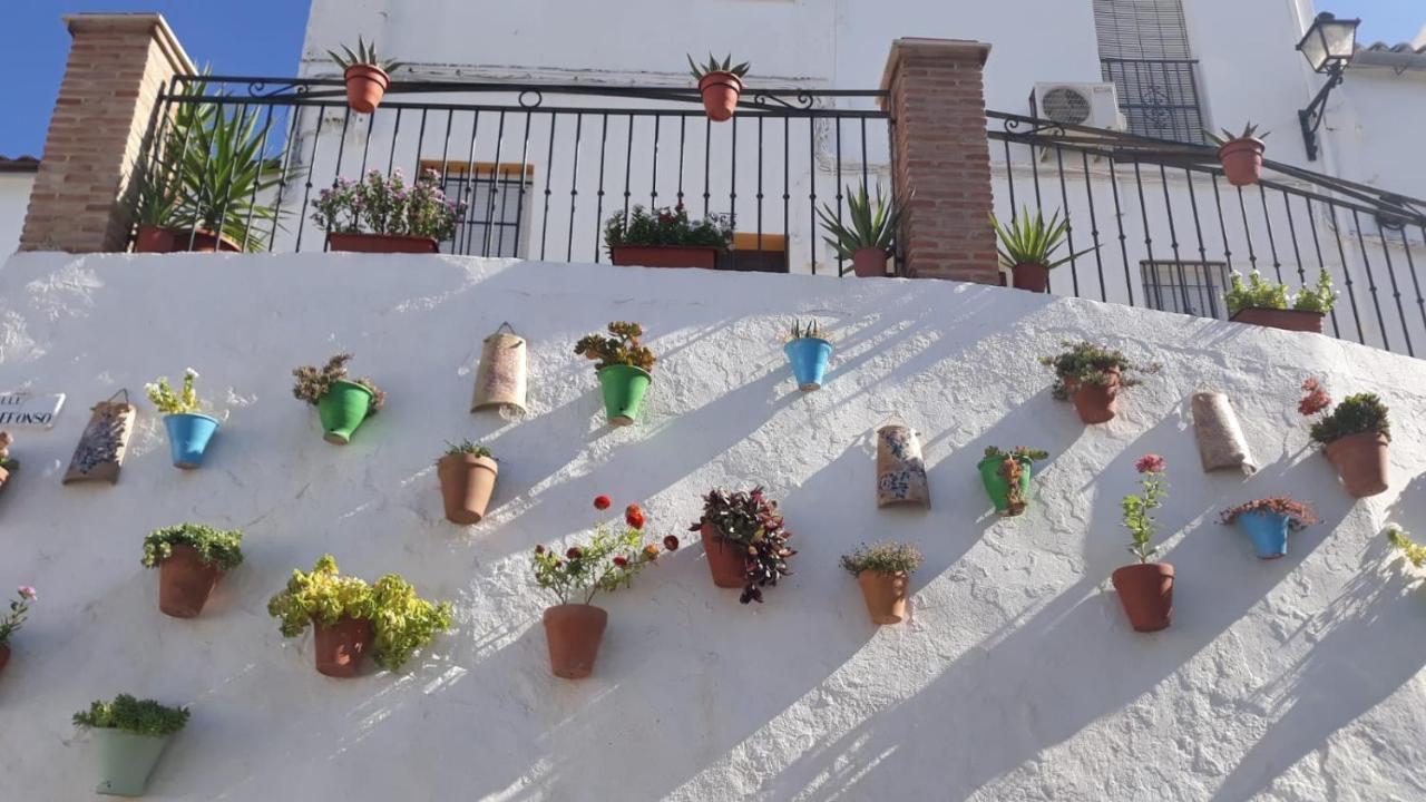 Casa De Esteban Olvera Kültér fotó